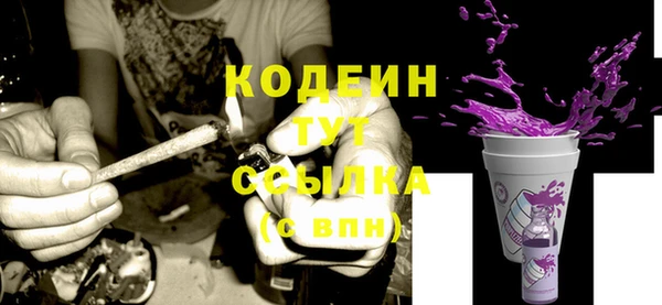 индика Беломорск