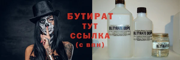 индика Беломорск