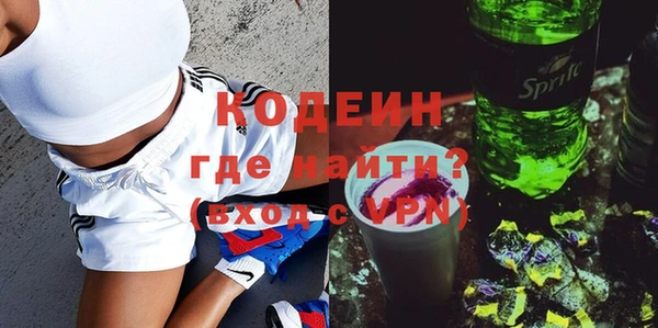 индика Беломорск