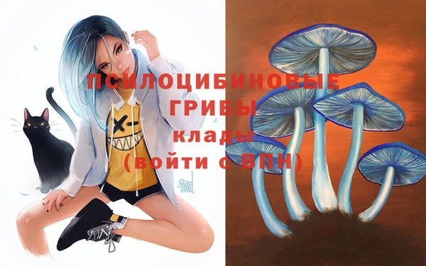индика Беломорск