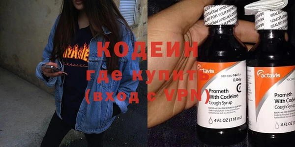 индика Беломорск