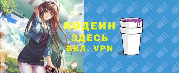 индика Беломорск