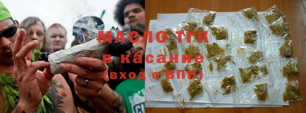 индика Беломорск