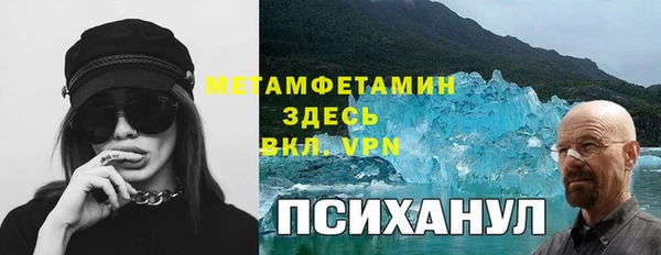 индика Беломорск